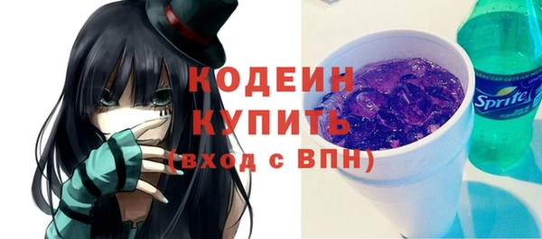 дмт Карпинск