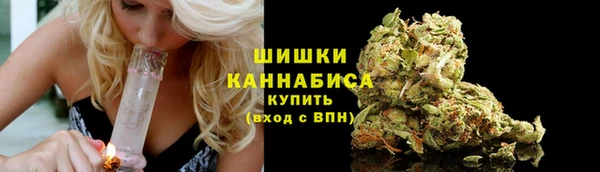 дмт Карпинск